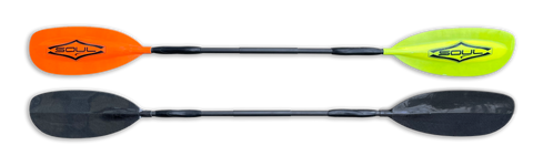 Proton